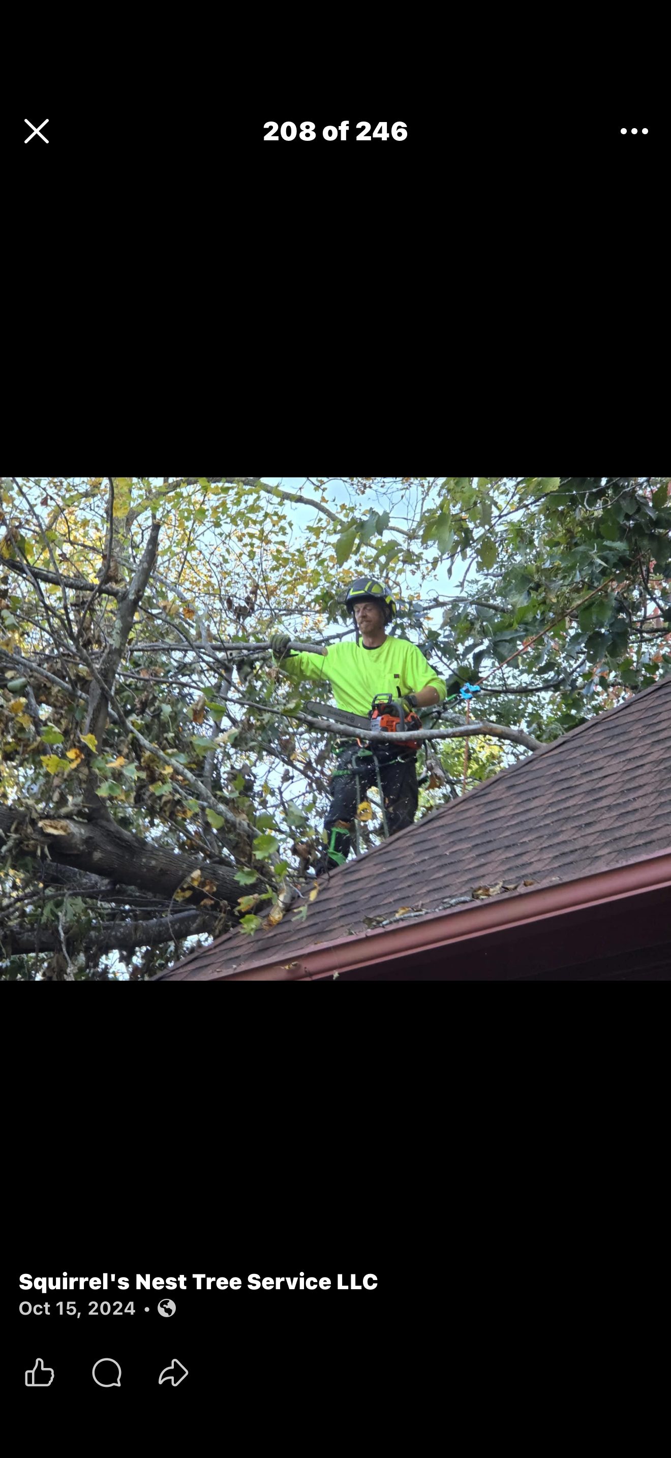Justin Hall climbing and trimming a tree for Squirrel's Nest Tree Service