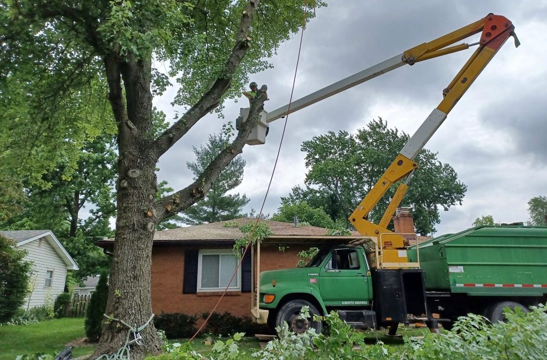 Bucket truck tree trimming over a house